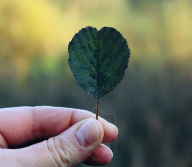 konfliktuskerülés a kommunikációban