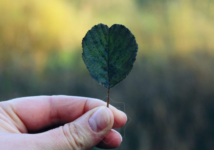 konfliktuskerülés a kommunikációban